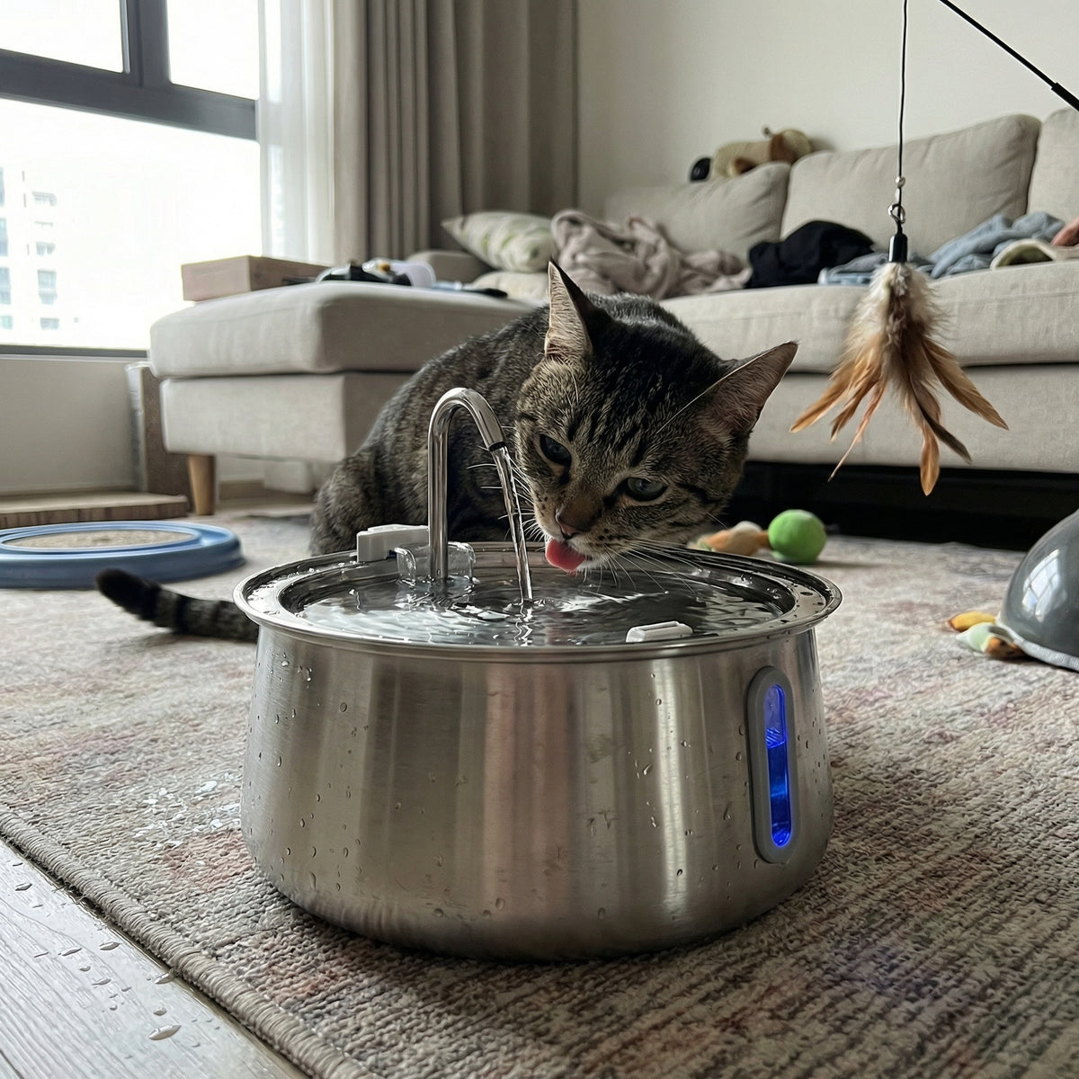 Chat buvant dans une fontaine à eau avec eau qui coule en continu