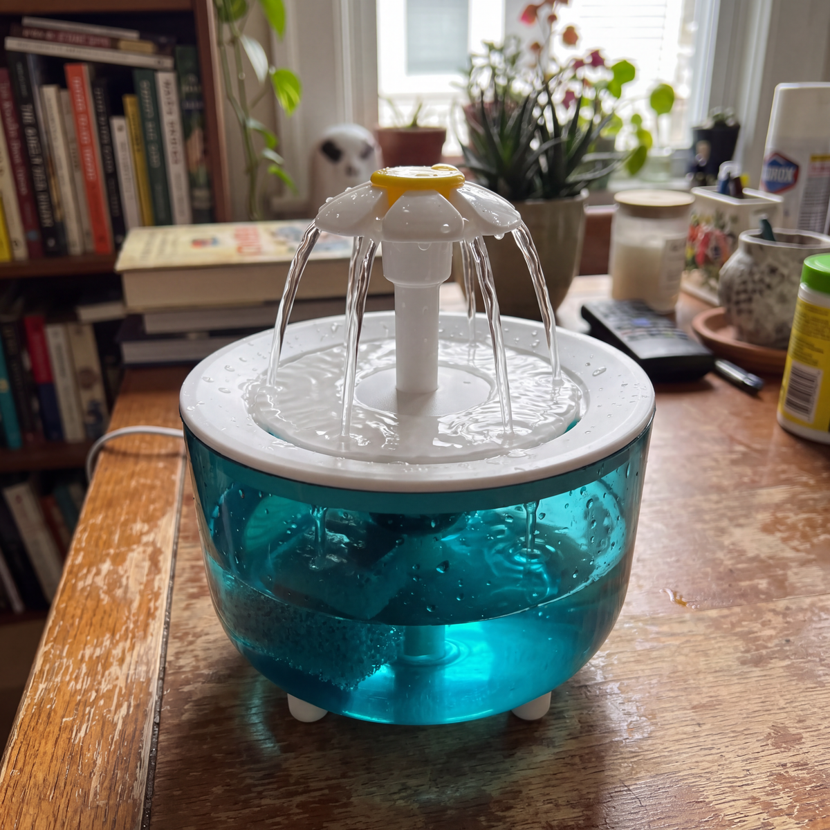 Fontaine à eau pour chat