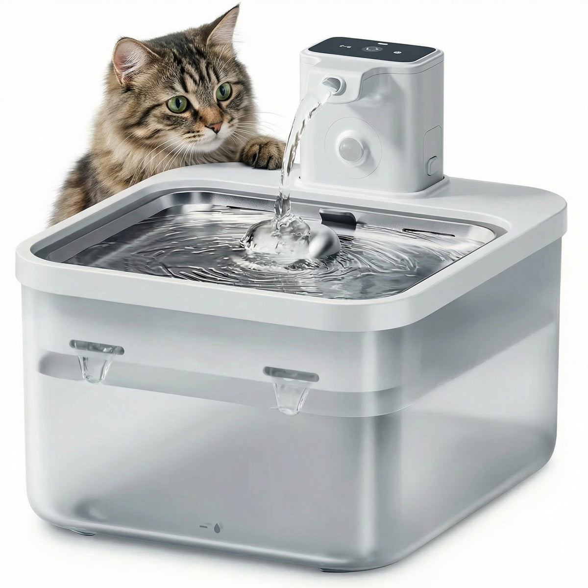 Fontaine à eau pour chat 2,5 L silencieuse