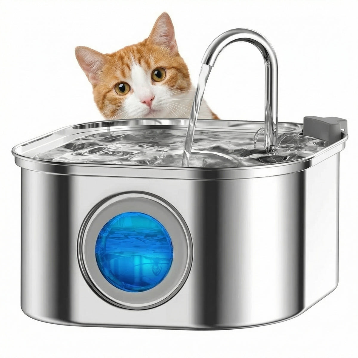 Fontaine à eau pour chat avec eau qui coule en continu