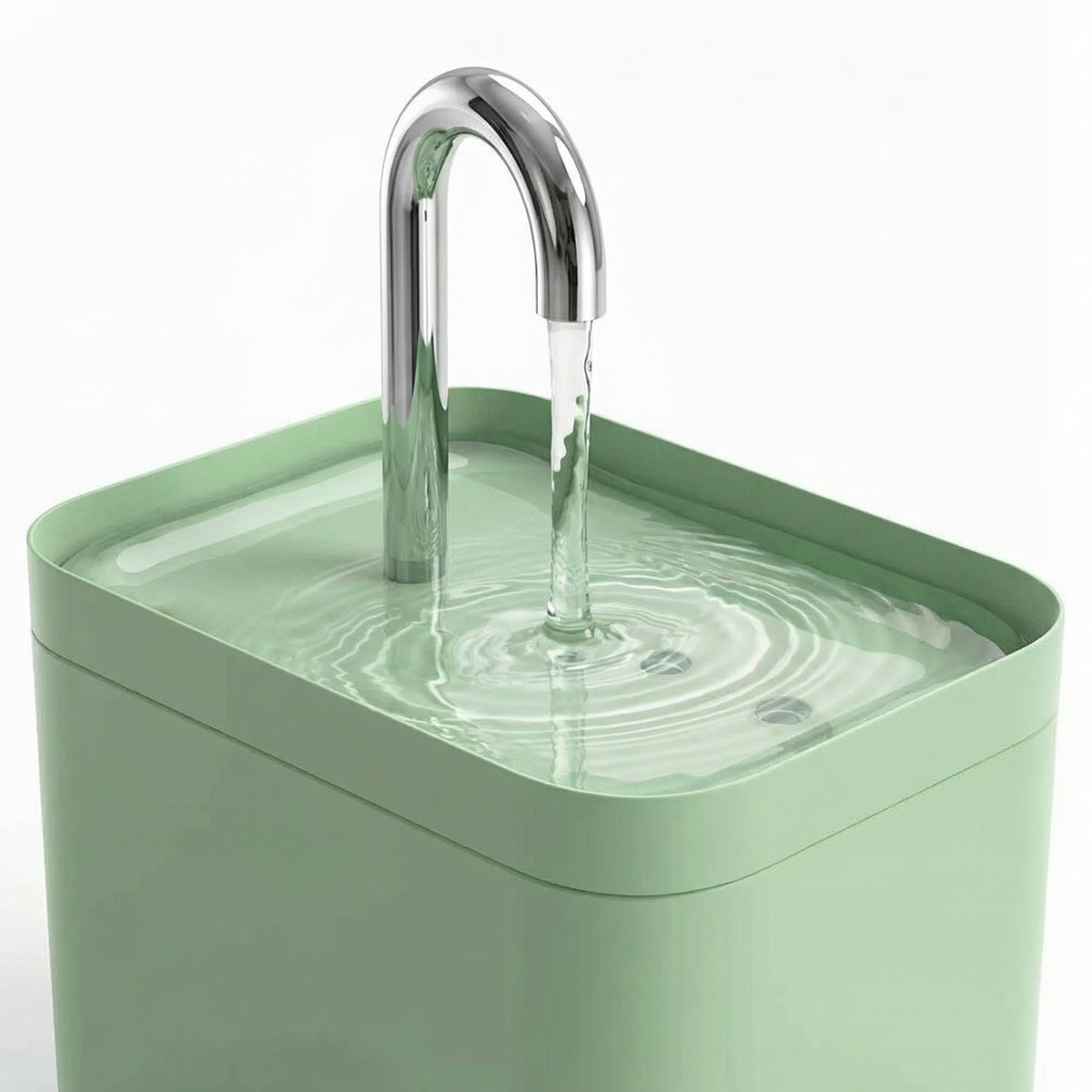 Fontaine à eau pour chat avec différents filtres