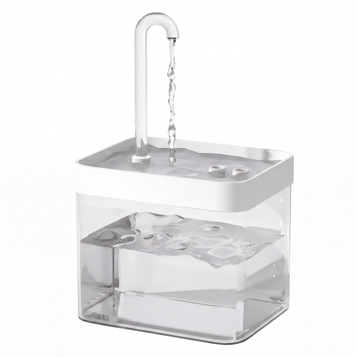 Fontaine à eau pour chat avec prise USB